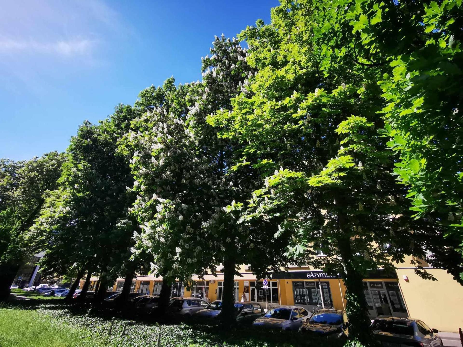 Corazziego Plac Bankowy Apartment Warsaw
